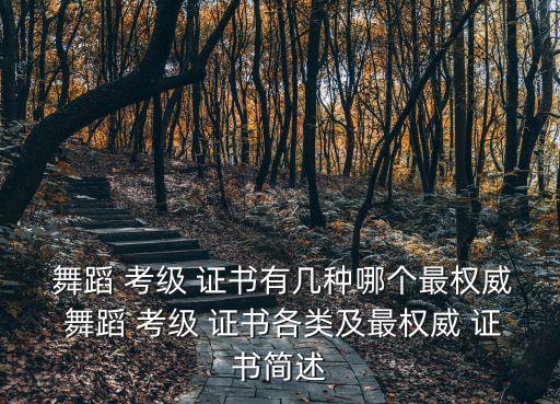 舞蹈 考级 证书有几种哪个最权威 舞蹈 考级 证书各类及最权威 证书简述