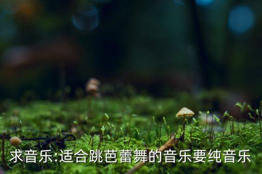 求音乐:适合跳芭蕾舞的音乐要纯音乐