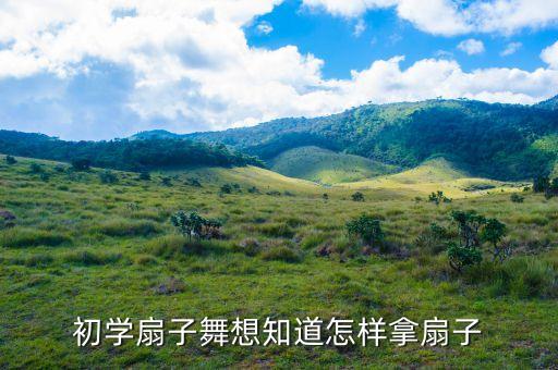 花鼓灯舞蹈 桃李杯,安徽花鼓灯的舞蹈风格和特点