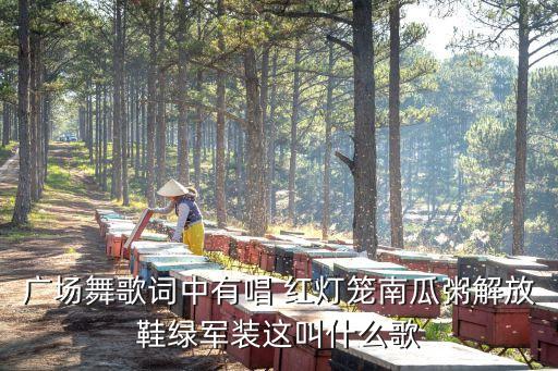 广场舞歌词中有唱 红灯笼南瓜粥解放鞋绿军装这叫什么歌