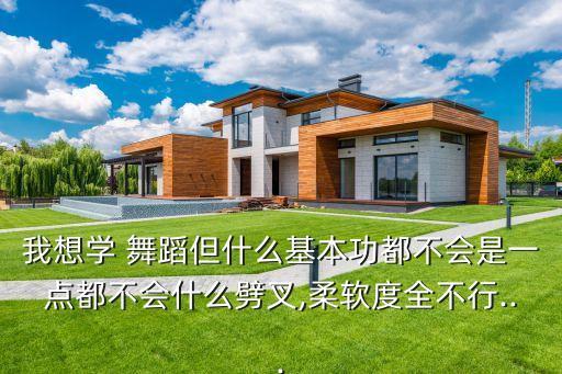 我想学 舞蹈但什么基本功都不会是一点都不会什么劈叉,柔软度全不行...
