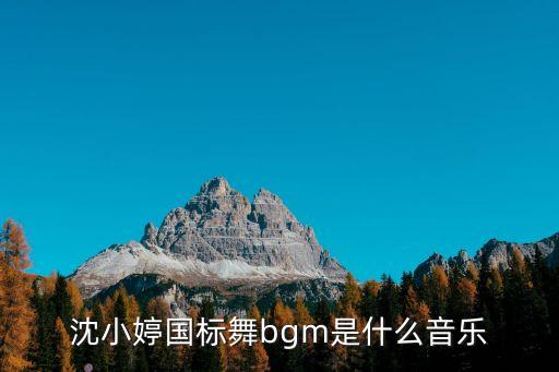 沈小婷国标舞bgm是什么音乐