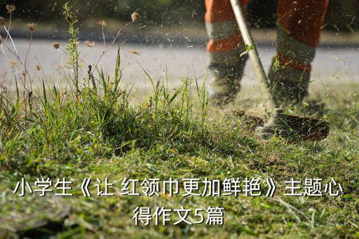 小学生《让 红领巾更加鲜艳》主题心得作文5篇
