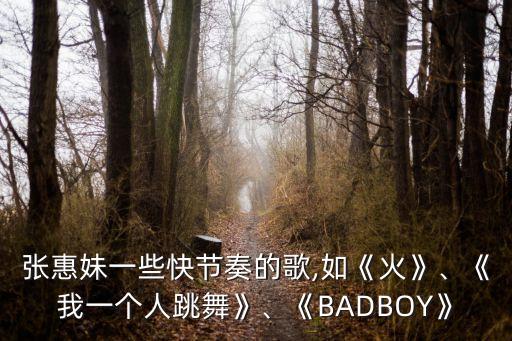 张惠妹一些快节奏的歌,如《火》、《我一个人跳舞》、《BADBOY》