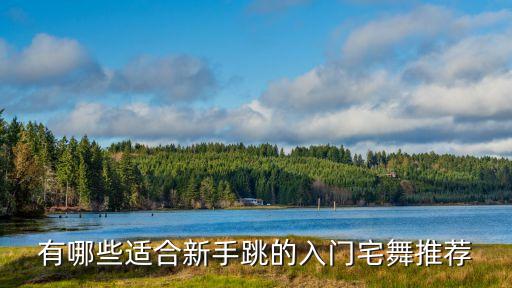 有哪些适合新手跳的入门宅舞推荐