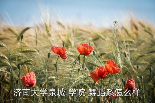 济南大学泉城 学院 舞蹈系怎么样