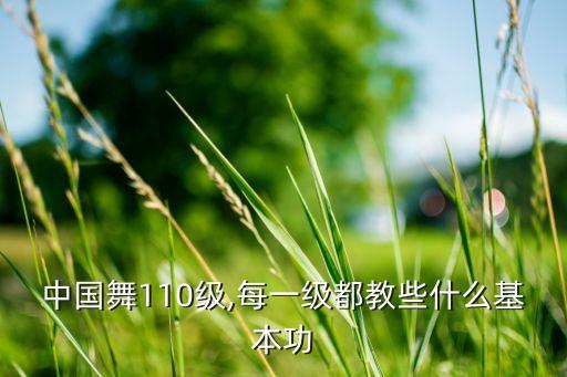 舞蹈蹲起组合,舞蹈把上蹲组合训练目的