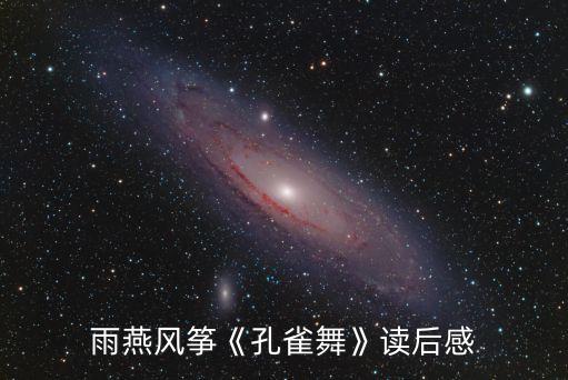 雨燕风筝《孔雀舞》读后感