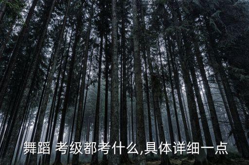  舞蹈 考级都考什么,具体详细一点