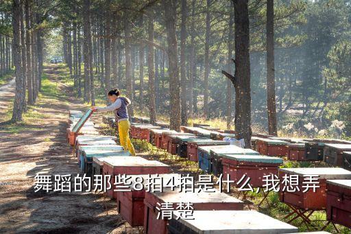  舞蹈的那些8拍4拍是什么,我想弄清楚
