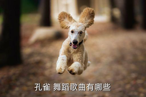 孔雀 舞蹈歌曲有哪些