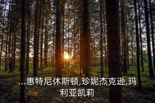 ...惠特尼休斯顿,珍妮杰克逊,玛利亚凯莉