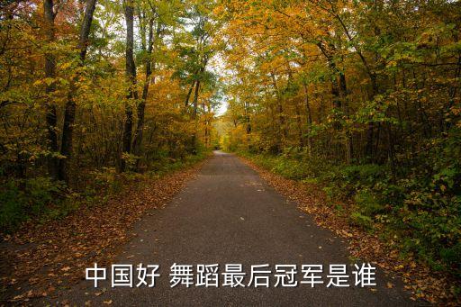 古丽米娜晋级舞蹈,中国好舞蹈古丽米娜舞蹈视频