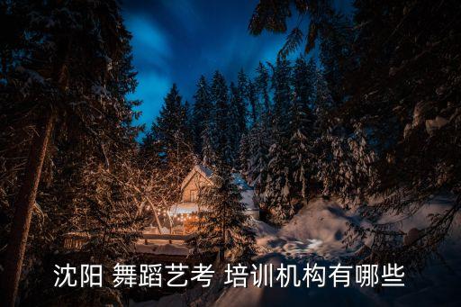 沈阳 舞蹈艺考 培训机构有哪些