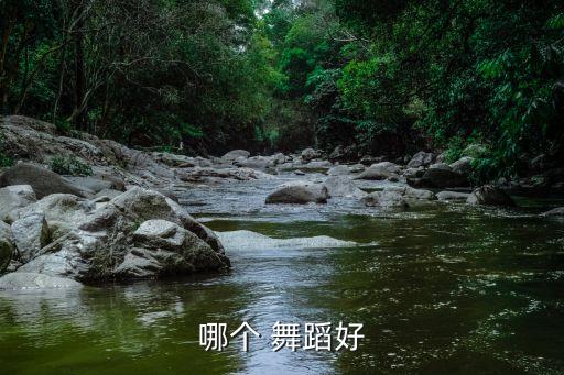 哪个 舞蹈好