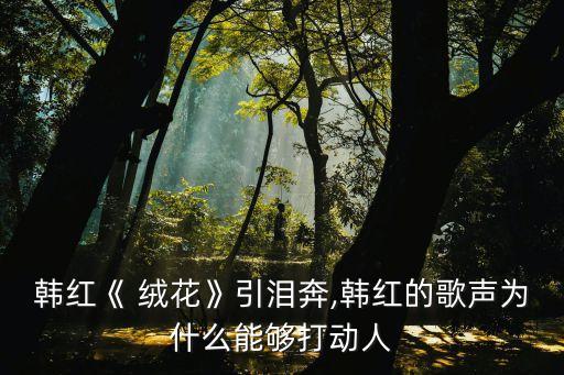 广场舞绒花舞蹈视频,形体舞绒花舞蹈视频