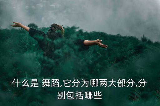 什么是 舞蹈,它分为哪两大部分,分别包括哪些
