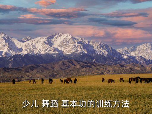 少儿 舞蹈 基本功的训练方法