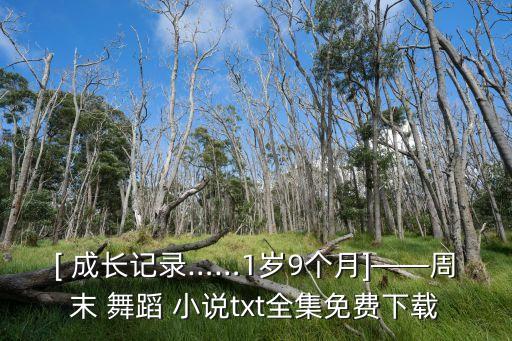 [ 成长记录……1岁9个月]——周末 舞蹈 小说txt全集免费下载