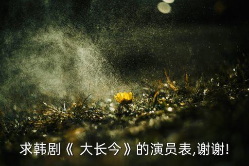 梅佳妮大长今舞蹈背面