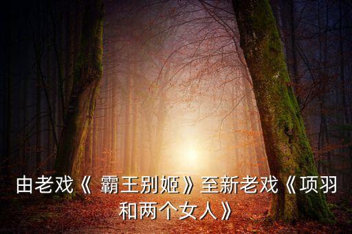 由老戏《 霸王别姬》至新老戏《项羽和两个女人》