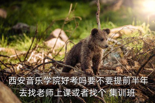  西安音乐学院好考吗要不要提前半年去找老师上课或者找个 集训班