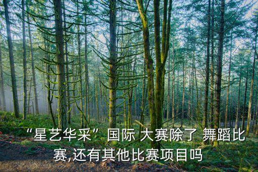 “星艺华采”国际 大赛除了 舞蹈比赛,还有其他比赛项目吗