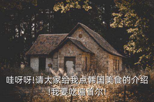 哇呀呀!请大家给我点韩国美食的介绍!我要吃遍首尔!