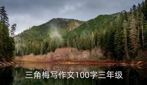 三角梅舞蹈,金心双色三角梅