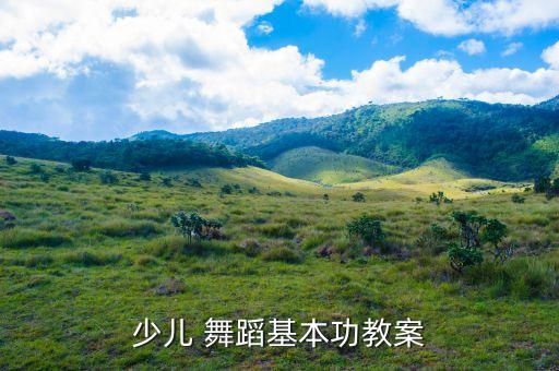 少儿 舞蹈基本功教案