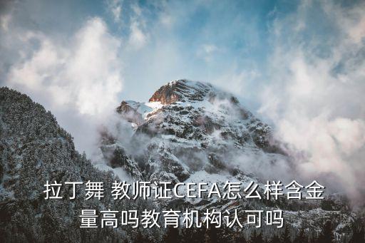 拉丁舞教师考级舞蹈