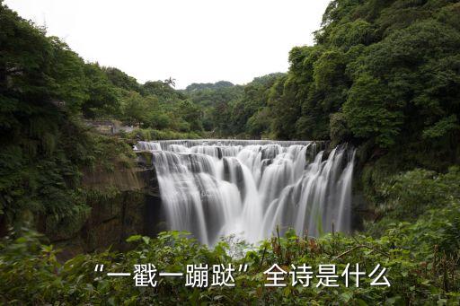 一抓一蹦哒舞蹈王广成