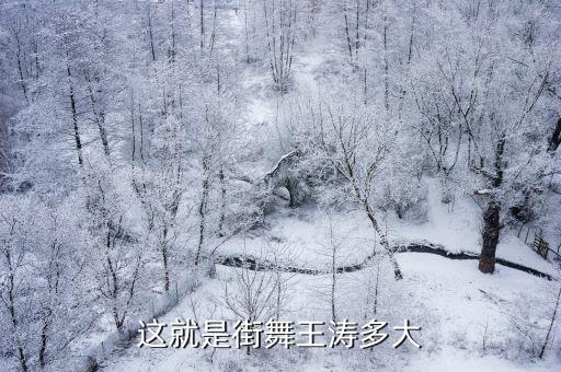 天边舞蹈学院,蒙古舞天边舞蹈