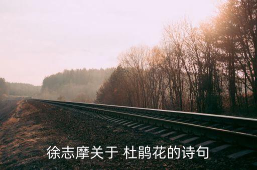 徐志摩关于 杜鹃花的诗句
