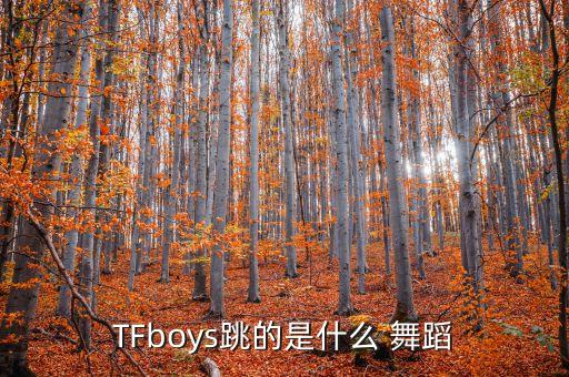舞蹈魔法城堡视频,魔法城堡完整版舞蹈教学视频