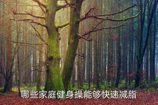 哪些家庭健身操能够快速减脂