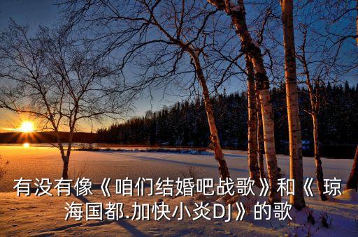 有没有像《咱们结婚吧战歌》和《 琼海国都.加快小炎DJ》的歌