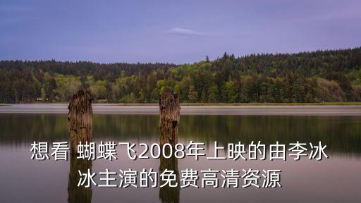 想看 蝴蝶飞2008年上映的由李冰冰主演的免费高清资源