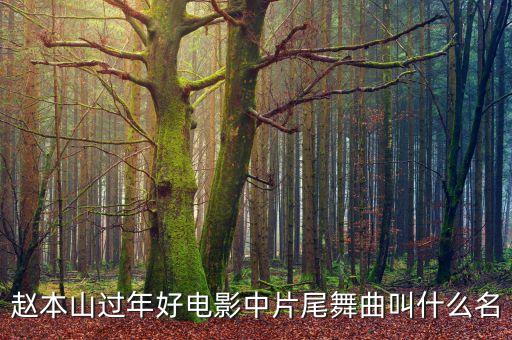 赵本山过年好电影中片尾舞曲叫什么名
