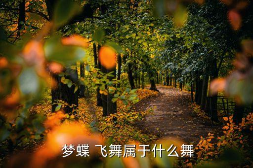 梦蝶飞舞舞蹈赏析,舞蹈梦蝶飞舞浙江音乐学院