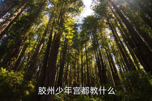  胶州少年宫都教什么