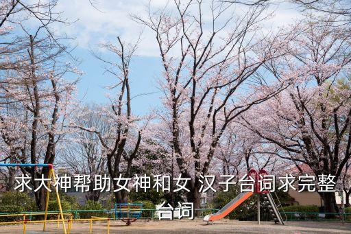 求大神帮助女神和女 汉子台词求完整台词