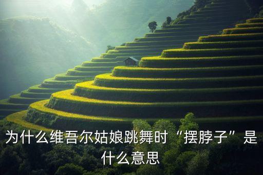 维族舞蹈民族舞欢乐的跳吧,欢乐的跳吧维族舞蹈视频
