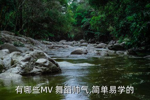 有哪些MV 舞蹈帅气,简单易学的