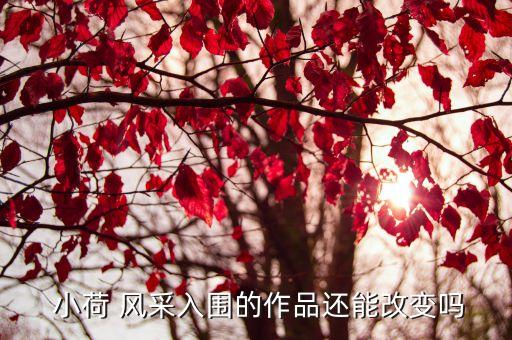 小荷风采获奖舞蹈名单