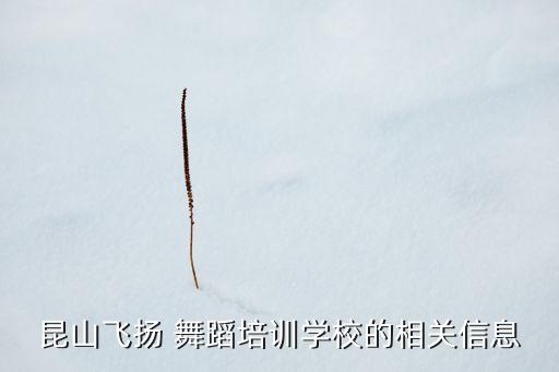 昆山飞扬 舞蹈培训学校的相关信息