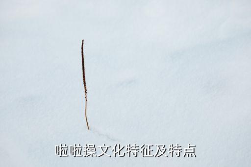 啦啦操文化特征及特点