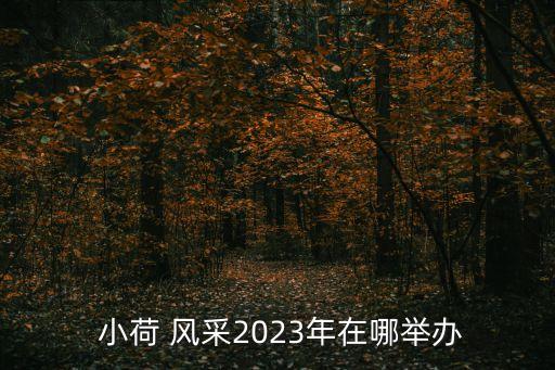  小荷 风采2023年在哪举办