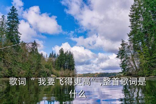 歌词“ 我要飞得更高”,整首歌词是什么