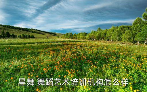 星舞 舞蹈艺术培训机构怎么样